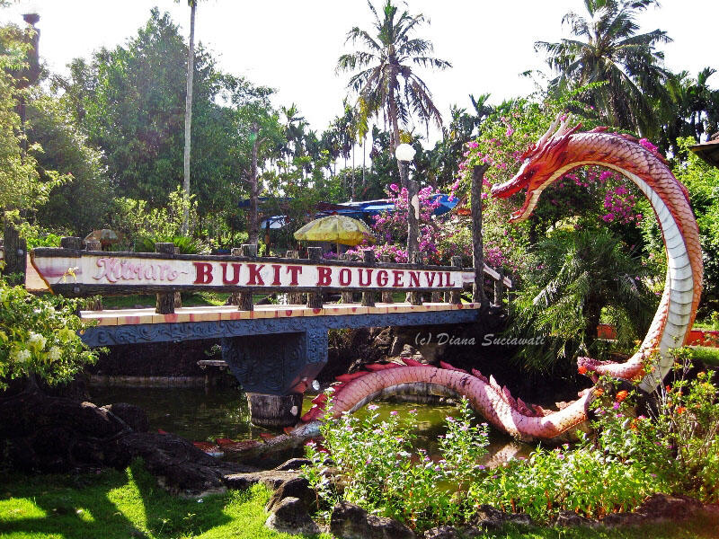 Taman Bukit Bougenville, Nikmati Waktu Indah Dan Romantis Bersama Pasangan Disini