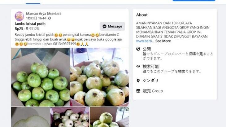 Jambu Kristal Putih jadi Obat Ampuh Penangkal COVID-19