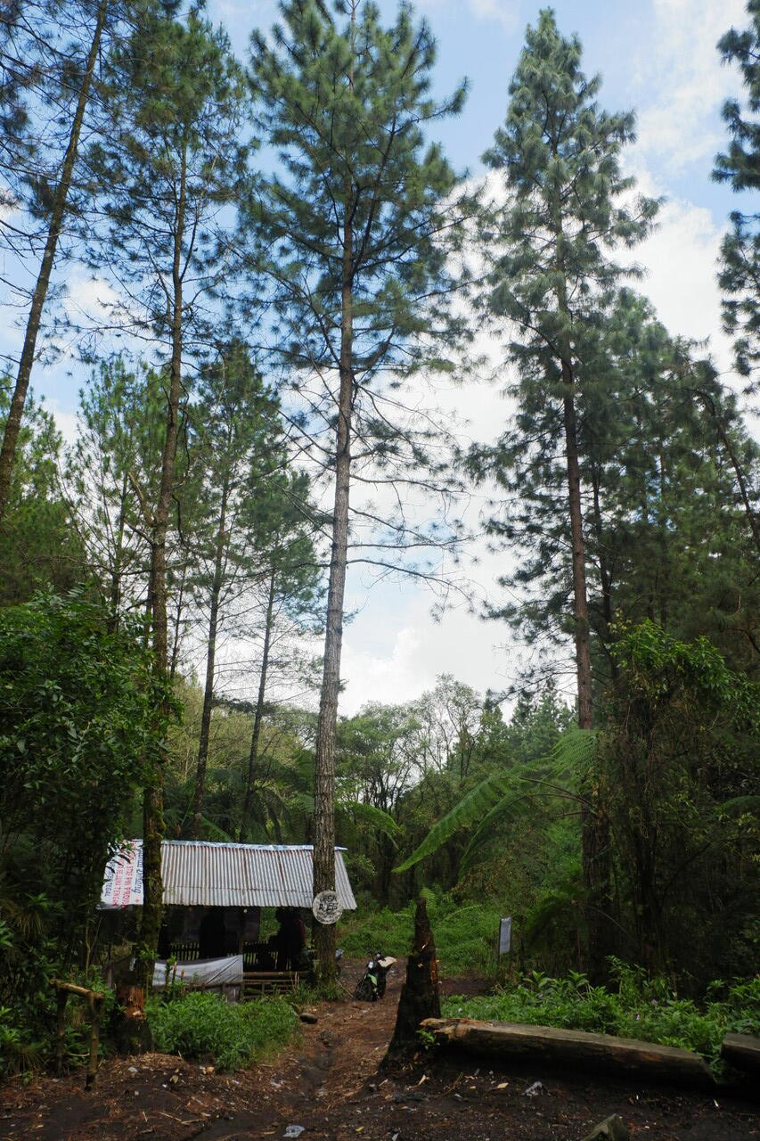 &#91;CATPER&#93; Ora Nanjak Ora Kepenak - Gunung Slamet 3428 Mdpl