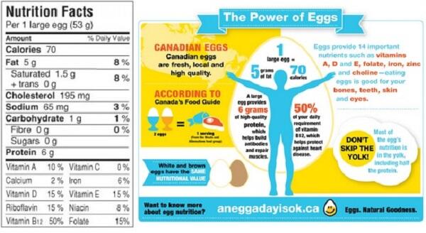 1 Butir Telur untuk Pemenuhan Kalsium, Bonus Mineral dan Vitamin (Trik Gokil)