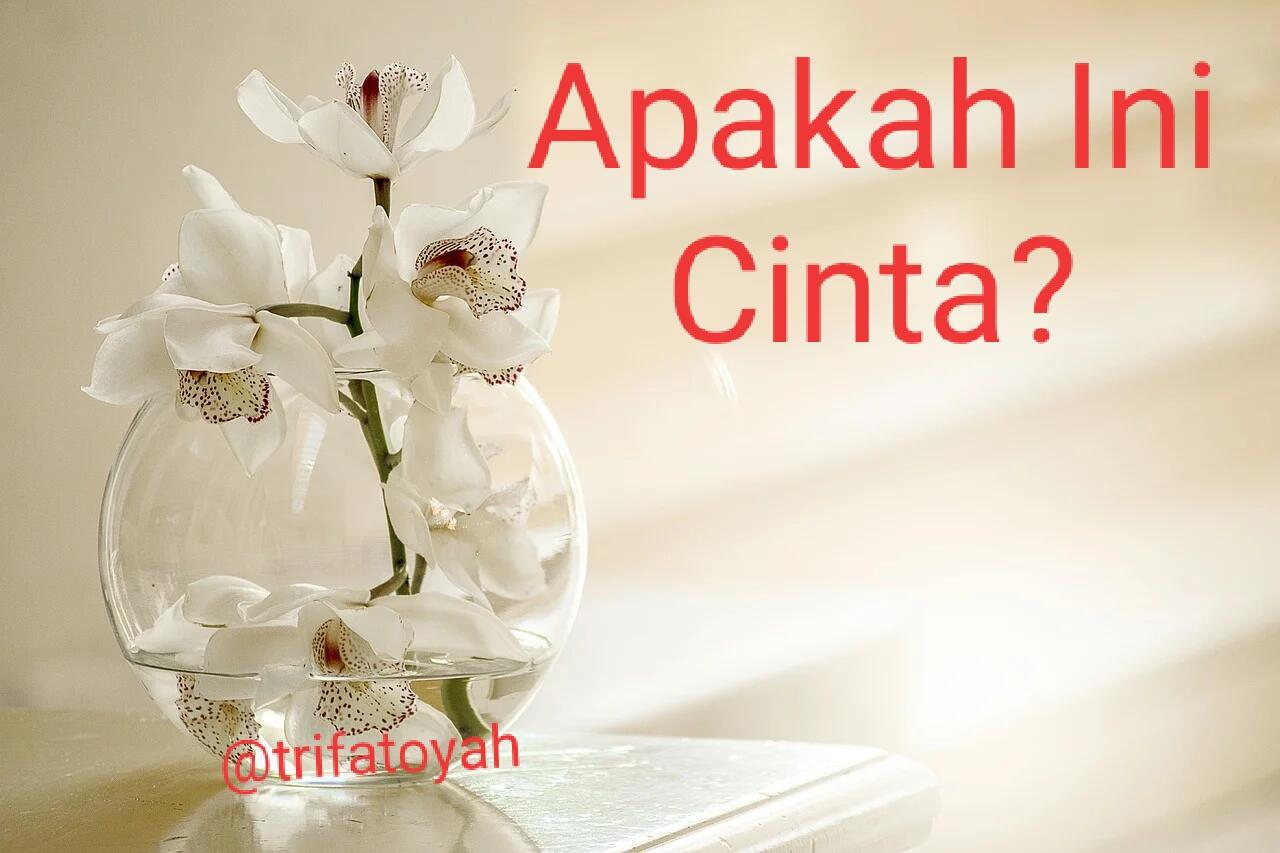 Apakah Ini Cinta?