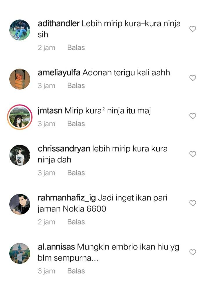 Viral, Nelayan NTT Temukan Hiu Tak Biasa, Disebut Mirip Wajah Manusia