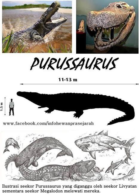 Nenek Moyang Buaya Adalah Purussaurus mirandai, Beratnya Mencapai 3 Ton