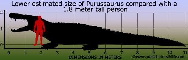 Nenek Moyang Buaya Adalah Purussaurus mirandai, Beratnya Mencapai 3 Ton