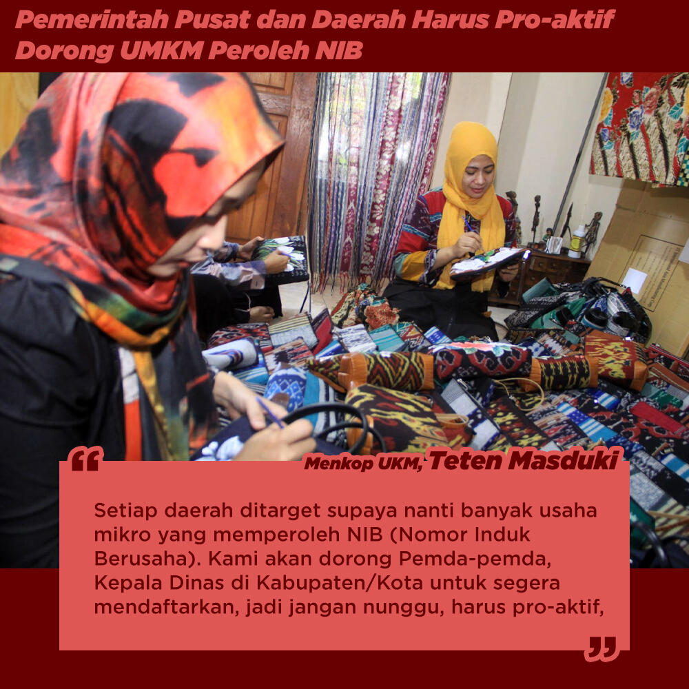 Pemerintah Pusat dan Daerah Harus Proaktif Dorong UMKM Peroleh NIB