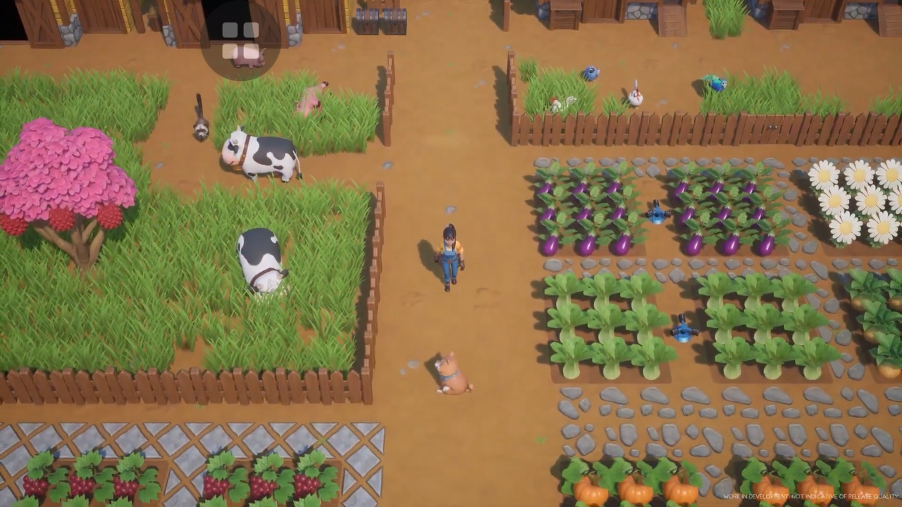 Coral Island Game Indonesia Yang Di Tunggu Gamer Seluruh Dunia
