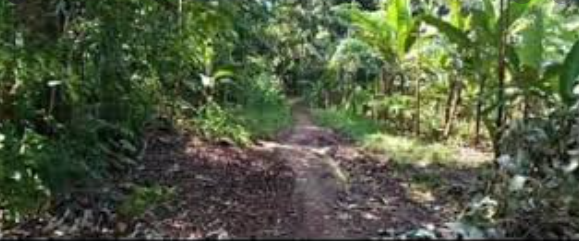 Hutan Gantarawang - Kerajaan Ghoib Terangker (Banten)