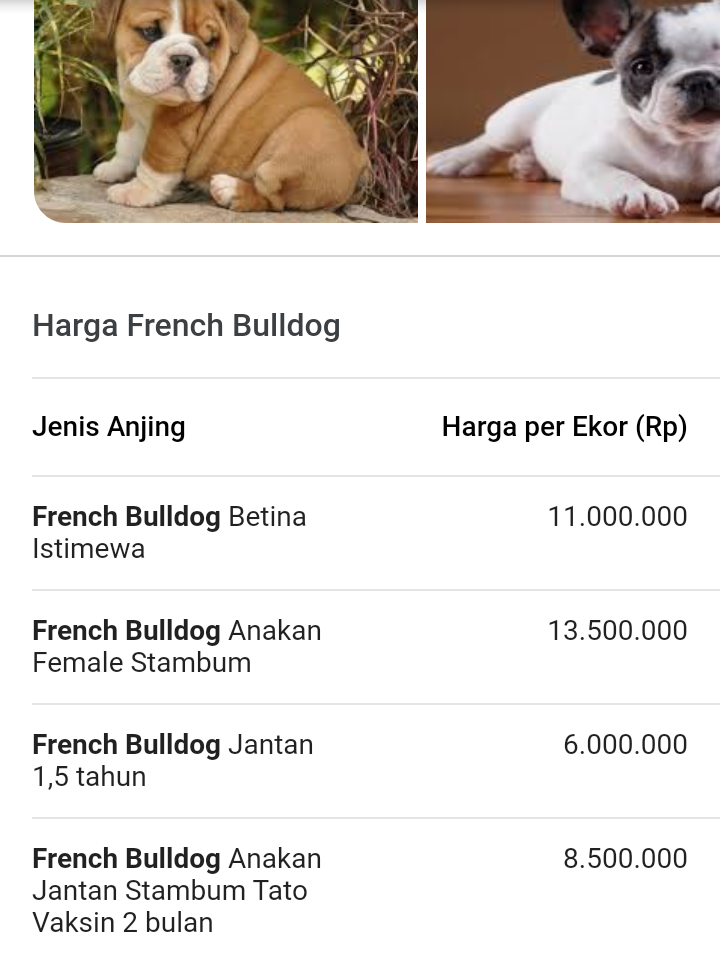 Artis Ini Rela Mengeluarkan Uang 7 Miliar untuk Menemukan Anjingnya, Daebak!