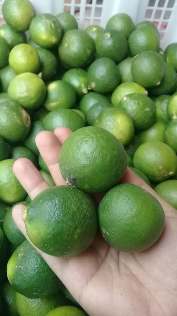 Bahan Herbal Yang Merawatku