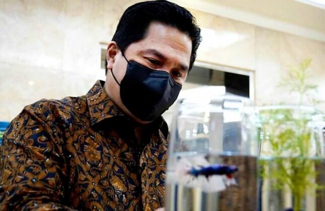 Erick Thohir 'Pom-pom' Ikan Cupang OB Kantor, Netizen:Kagum Salut Untuk Pak Menteri..