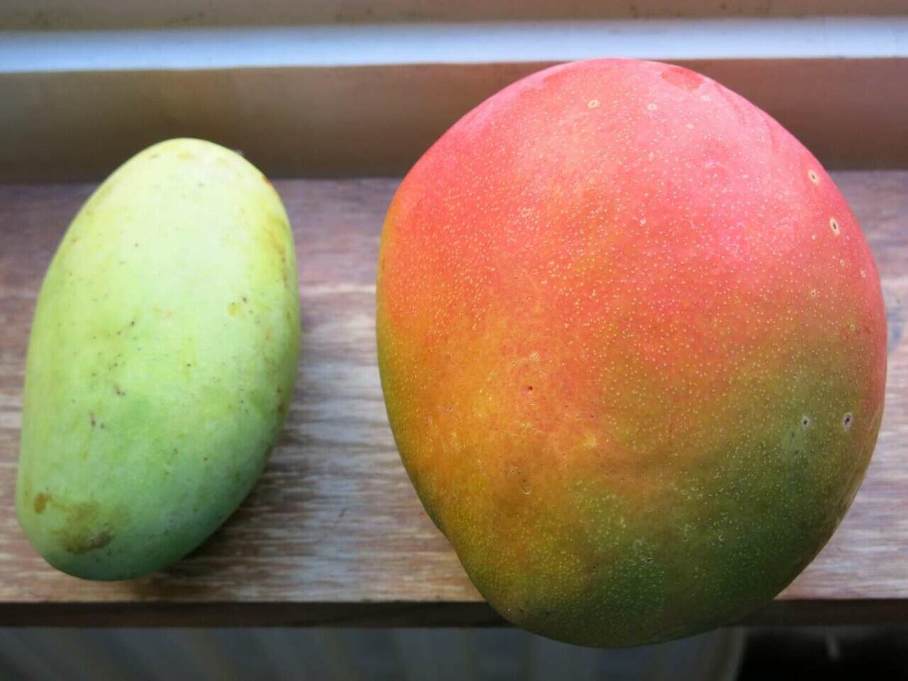 Penampilan Buah dan Sayur Pada Masa Lampau