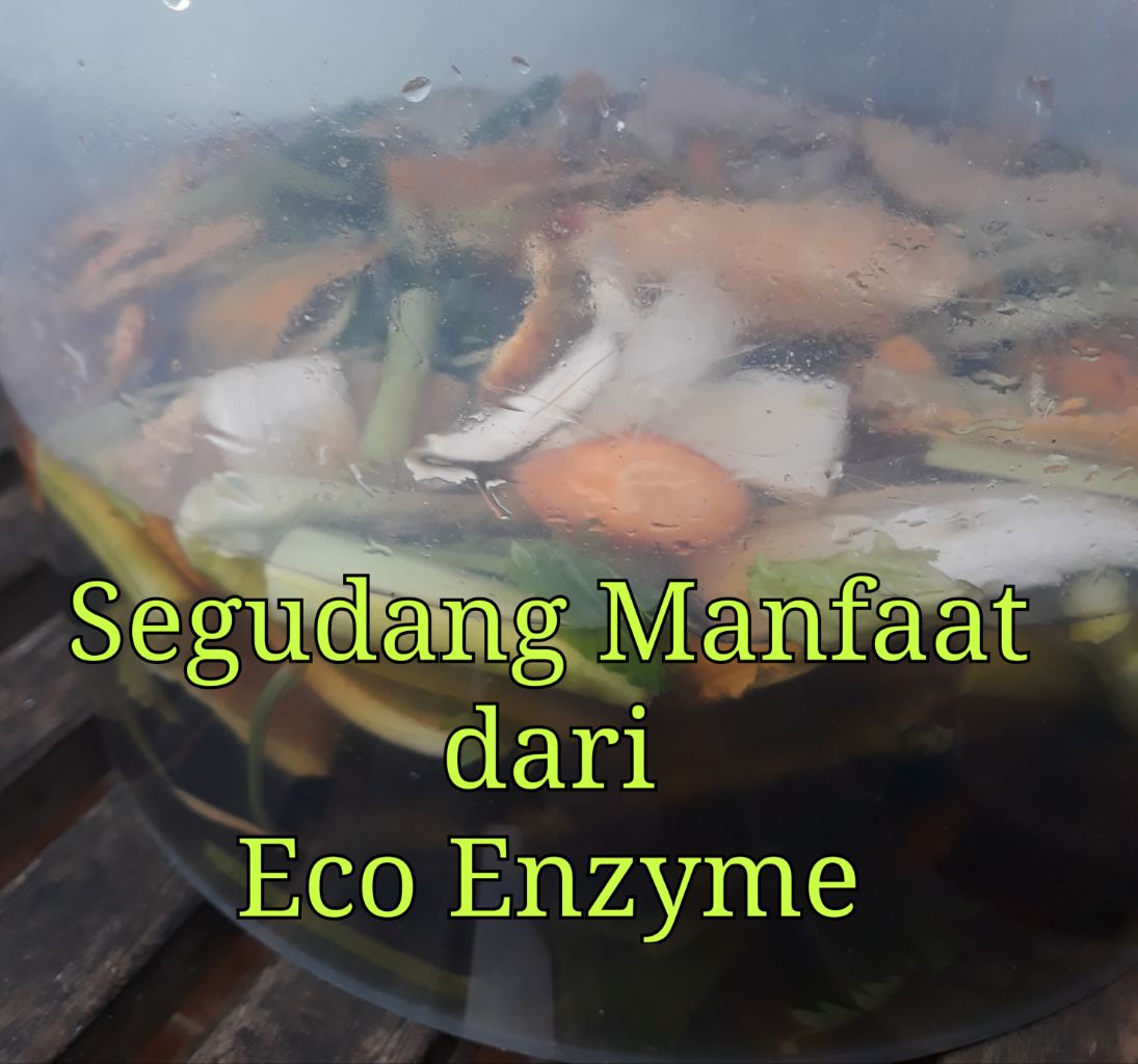 Memanfaatkan Sampah Menjadi Segudang Keajaiban dengan Membuat Eco Enzyme! 