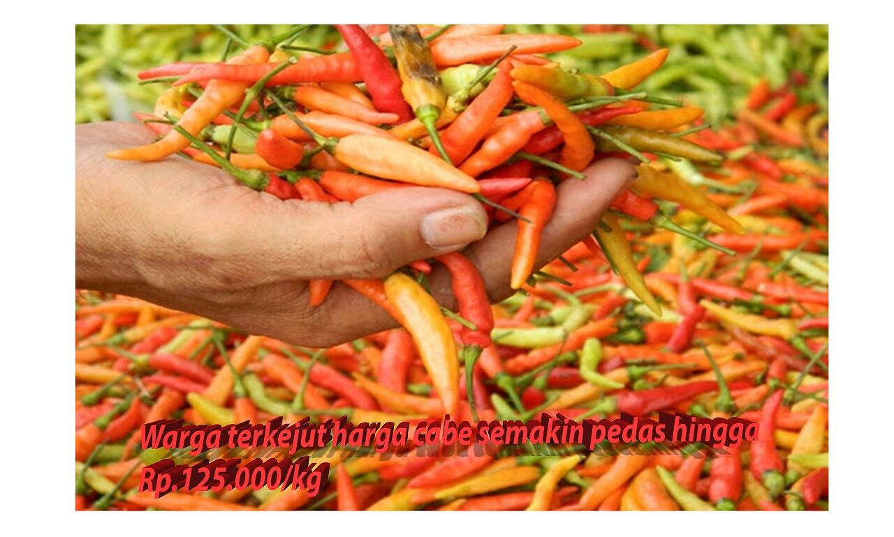 Harga Cabai Melonjak, Pedagang Minta Pemerintah Kota Cilegon Turun Tangan