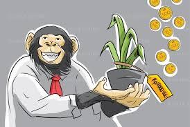 Melonjaknya Harga Tanaman Hias Bukan Bagian dari Monkey Business, Agan Setuju?
