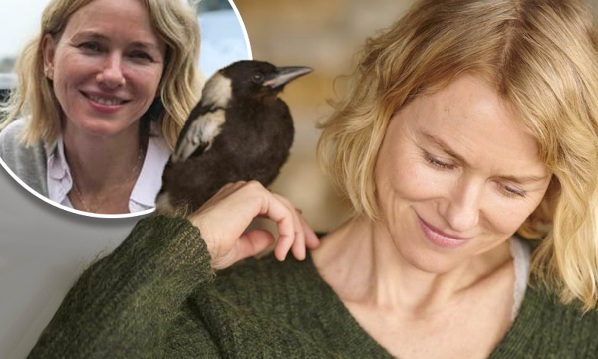 Film Naomi Watts Sampai Nominasi Oscar 2021 Hadir Di Klik Film Bulan Maret 2021