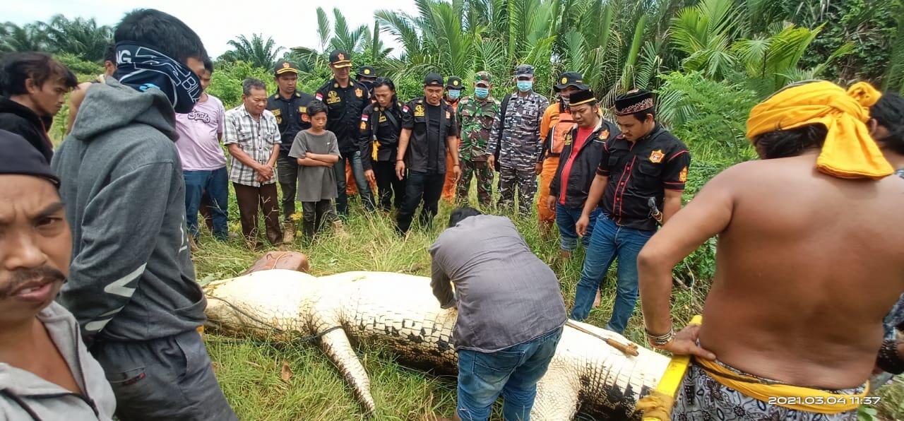 Bocah 8 Tahun Itu Ditemukan Tak Bernyawa di Perut Buaya