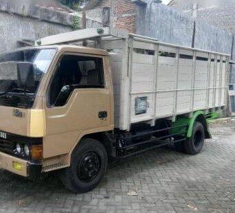 Sejarah Mitsubishi Canter, Truk Sejuta Umat Orang Indonesia