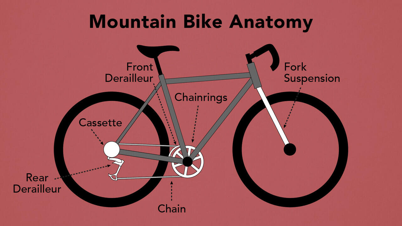 MTB for My Real Life! Pecinta Sepeda Gunung Wajib Tahu Hal-Hal Berikut!