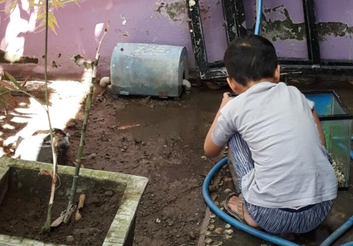 Tips Ampuh Atasi Ikan Cupang yang Stress Versi Ane