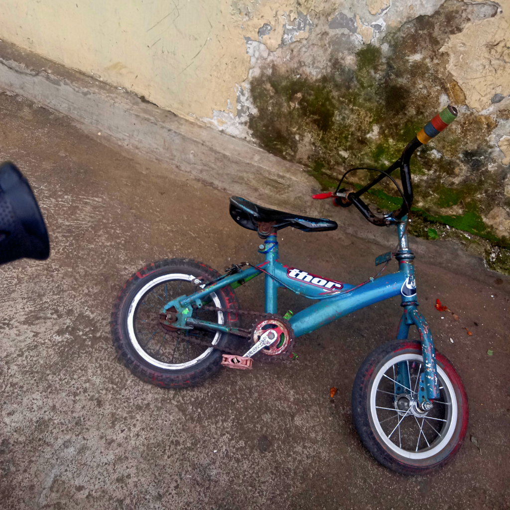 BMX Mini, Sepeda yang Ane Banget