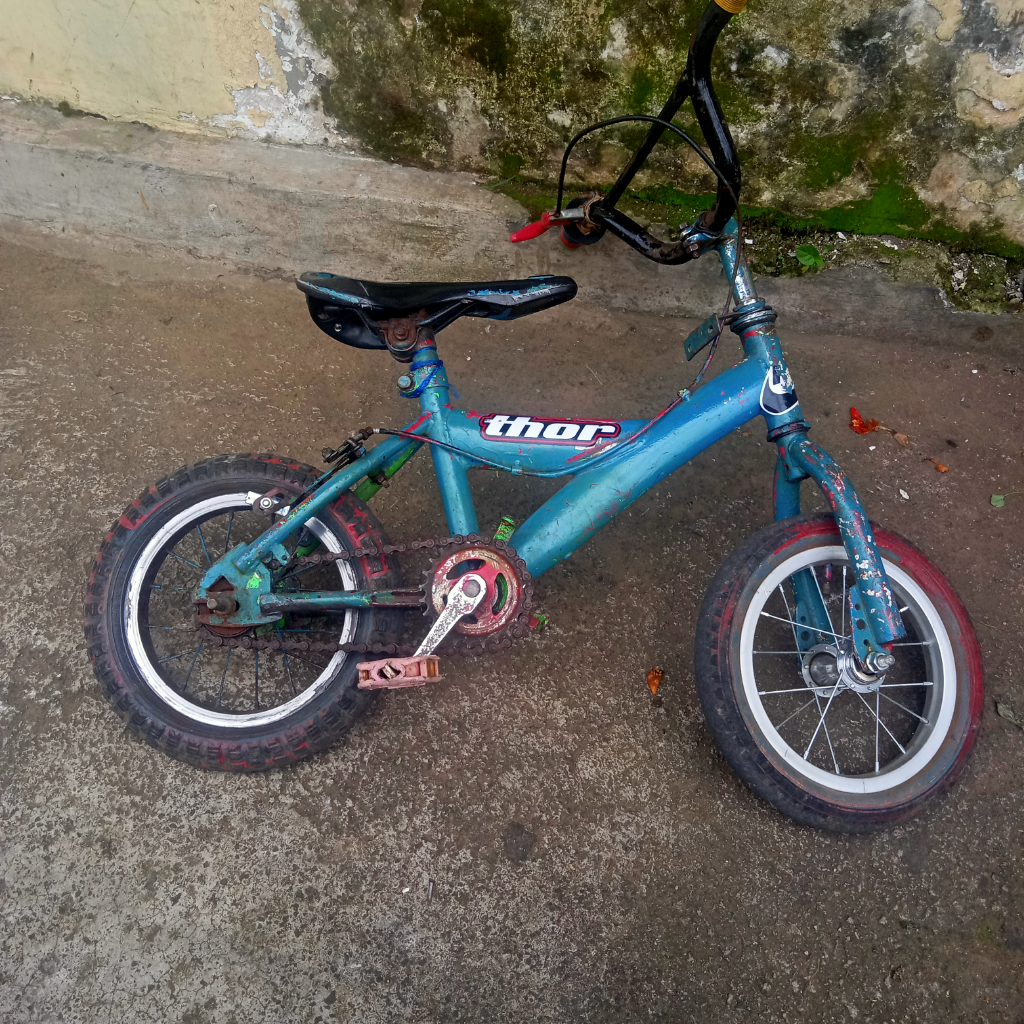 BMX Mini, Sepeda yang Ane Banget