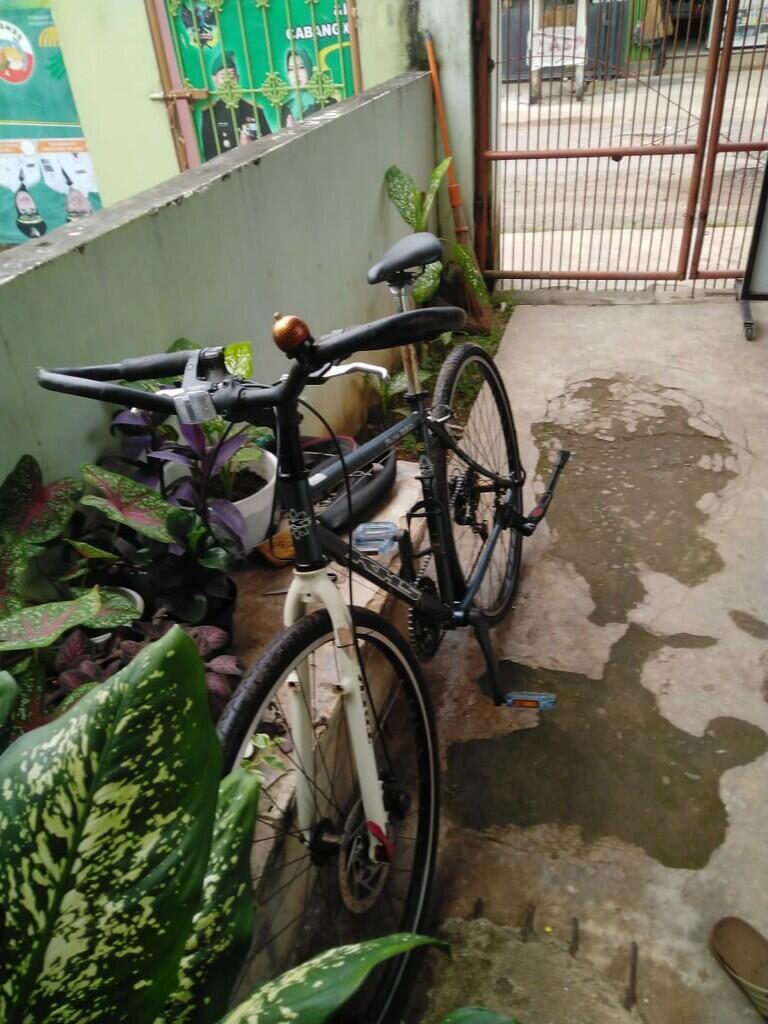 Sepeda Paling Cocok Sama Ane Tentunya Roadbike!
