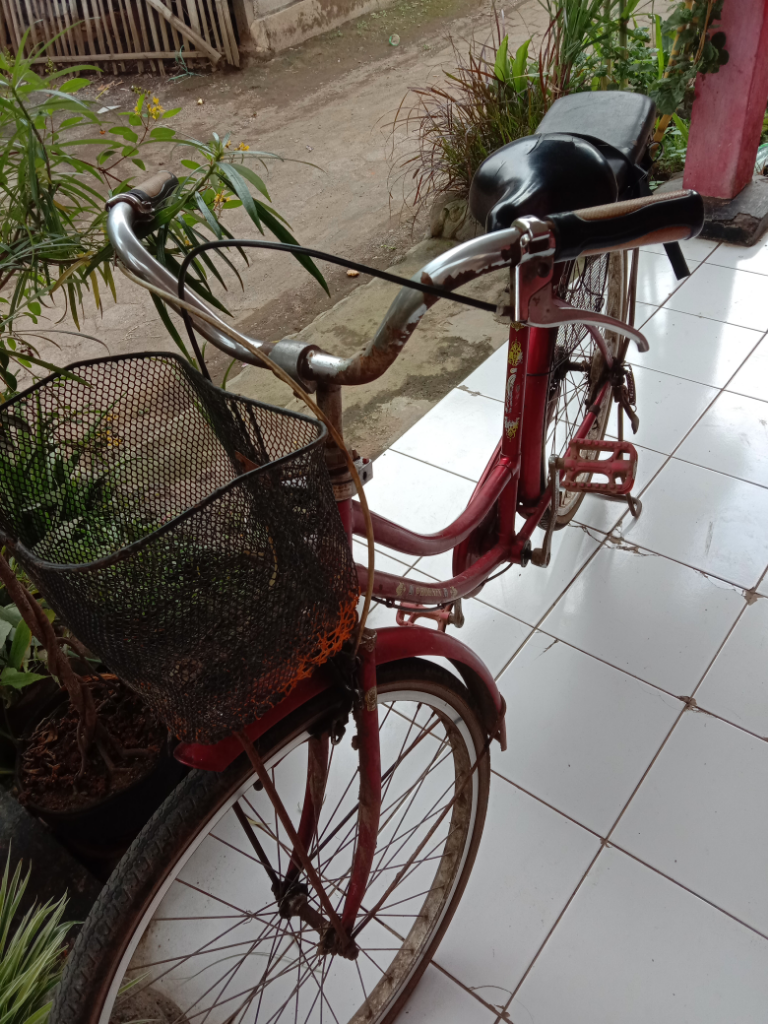 Mencari Rumput Sambil Gowes, Solusi Terbaik Menurut TS!