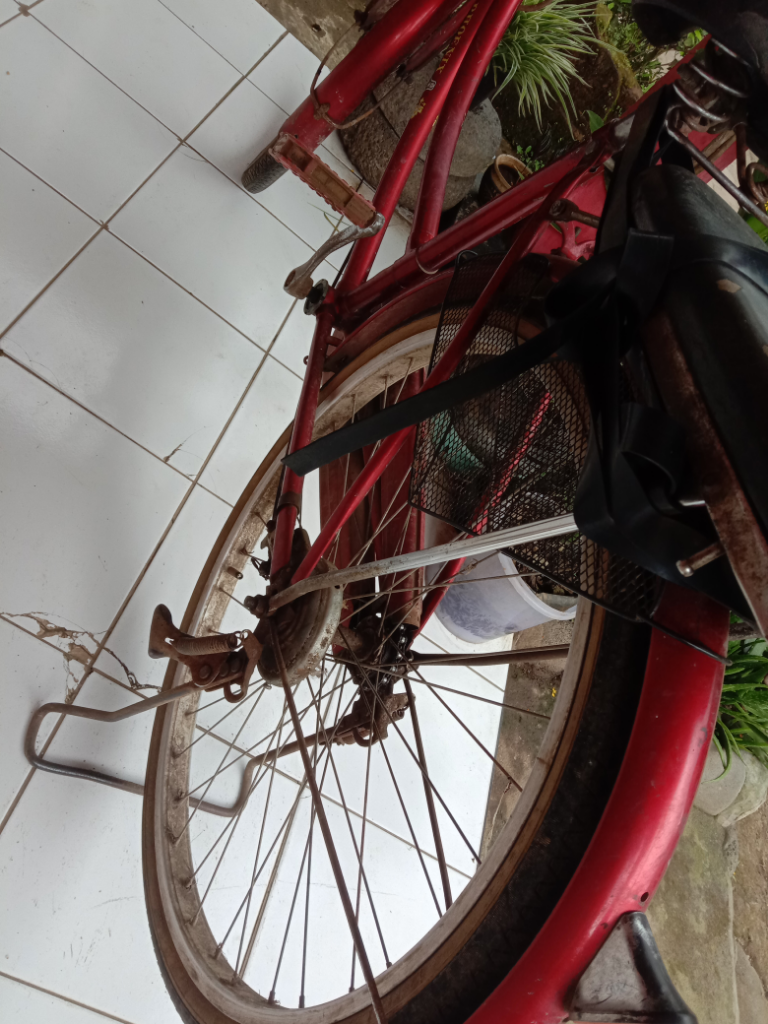 Mencari Rumput Sambil Gowes, Solusi Terbaik Menurut TS!