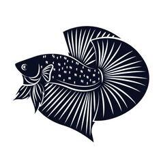 Perlu diketahui ciri-ciri ikan cupang kontes