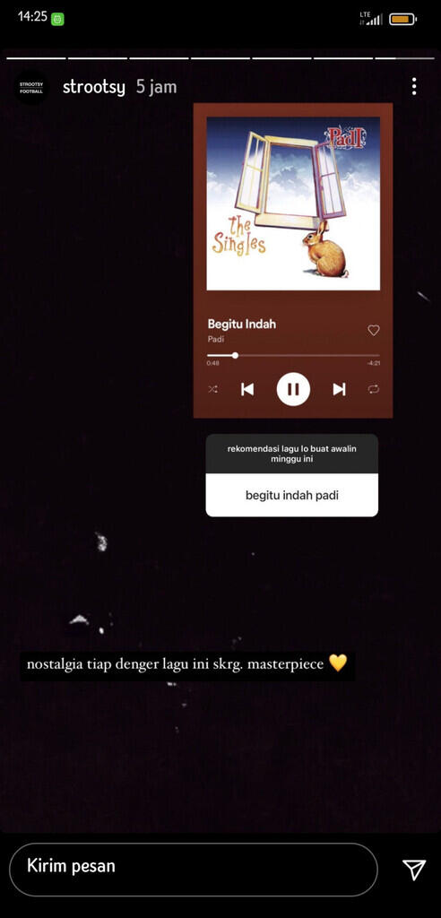 (Opini) Membedah Popularitas Stories di Sosial Media