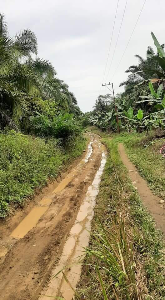 Mengolah Raga Dengan Bersepeda Gunung, Pacu Adrenalinmu Tanpa Batas!