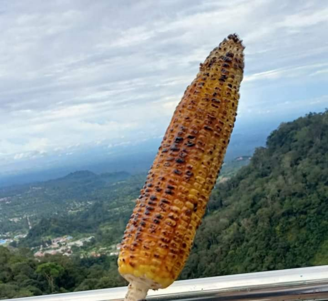 Mengolah Raga Dengan Bersepeda Gunung, Pacu Adrenalinmu Tanpa Batas!