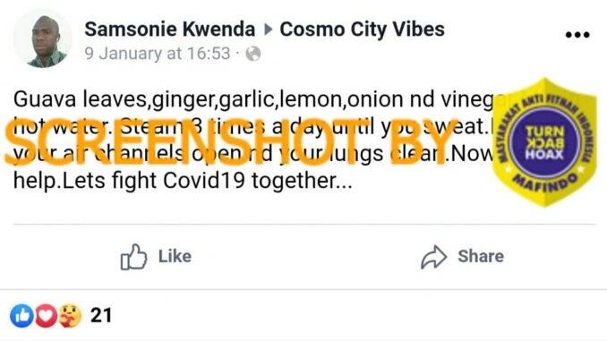 Campuran Daun Jambu,Jahe, Bawang Putih,Lemon,Bawang Merah,Cuka Bunuh COVID-19