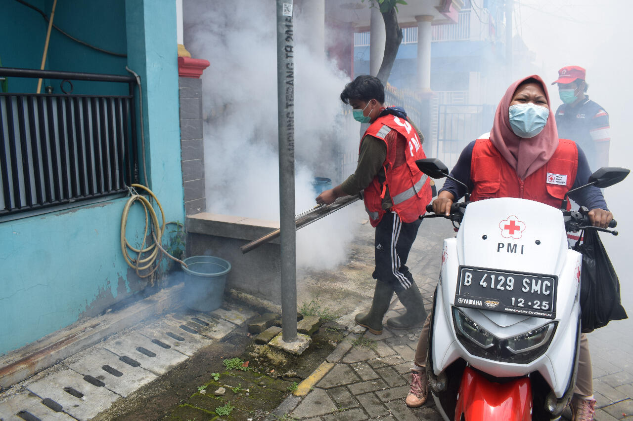 2 Warga Terjangkit DBD, PMI Gerak Cepat Penyemprotan Fogging