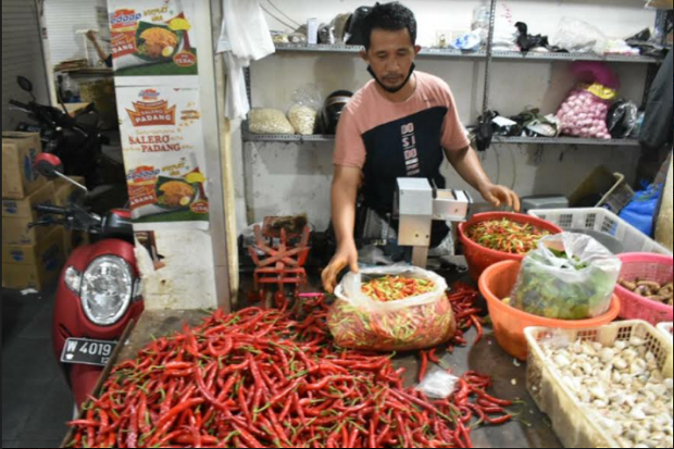 Harga Cabai Rawit di Gresik Tembus Rp120 Ribu Per Kilogram