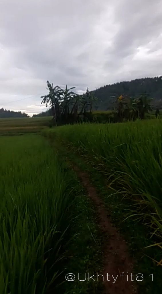 Sepeda Gunung, Paling Cocok untuk Keliling Kampung dan Rasakan Manfaatnya!