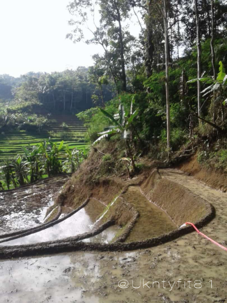Sepeda Gunung, Paling Cocok untuk Keliling Kampung dan Rasakan Manfaatnya! 