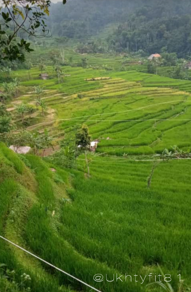 Sepeda Gunung, Paling Cocok untuk Keliling Kampung dan Rasakan Manfaatnya! 