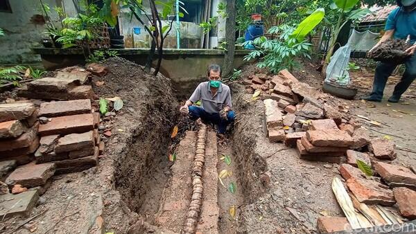 Bonggol Pohon Pisang Berukuran 3 Meter Ditemukan Warga di Kudus