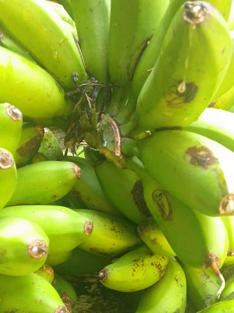 Krawu Pisang Rayap, Makanan Sehat Tanpa Bahan Pengawet!
