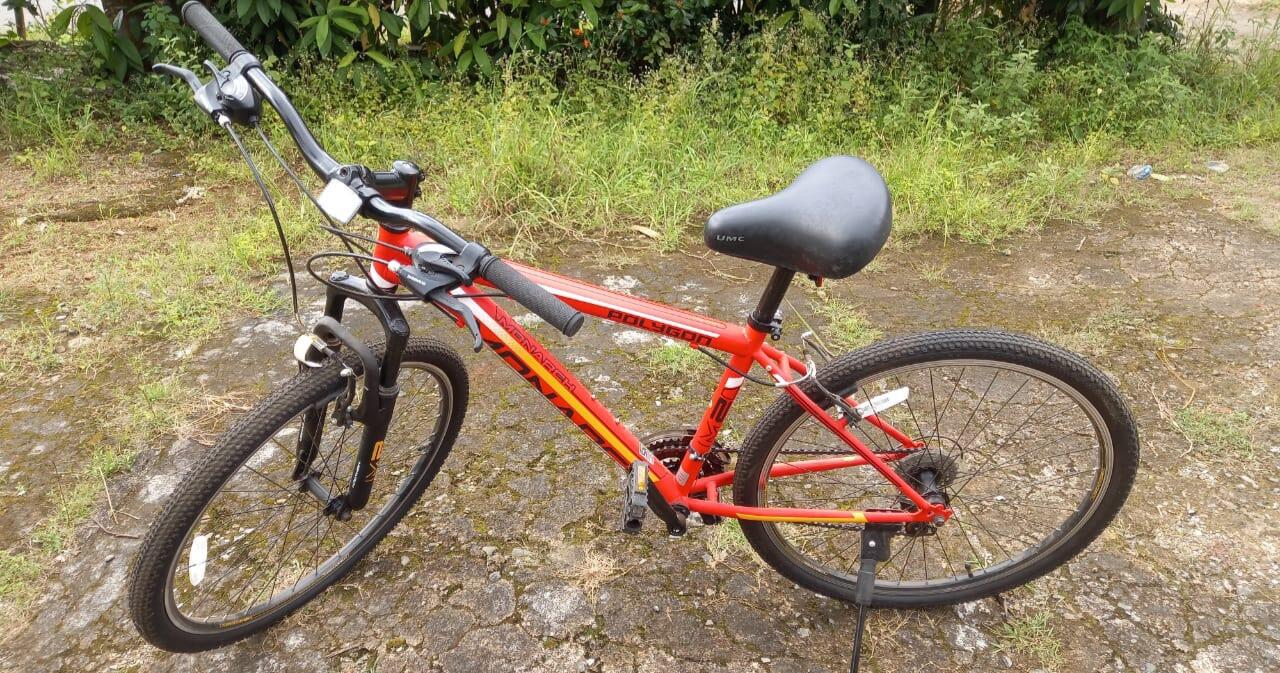 Gowes sambil Menikmati Panorama Alam, Sepeda Gunung jadi Pilihan Ane!