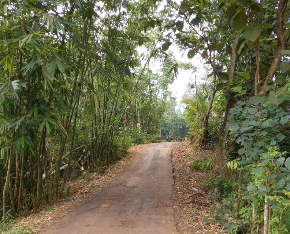 Gowes sambil Menikmati Panorama Alam, Sepeda Gunung jadi Pilihan Ane! 