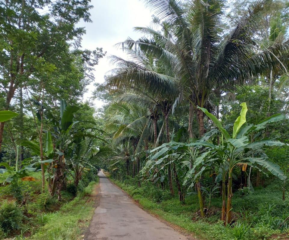 Gowes sambil Menikmati Panorama Alam, Sepeda Gunung jadi Pilihan Ane! 