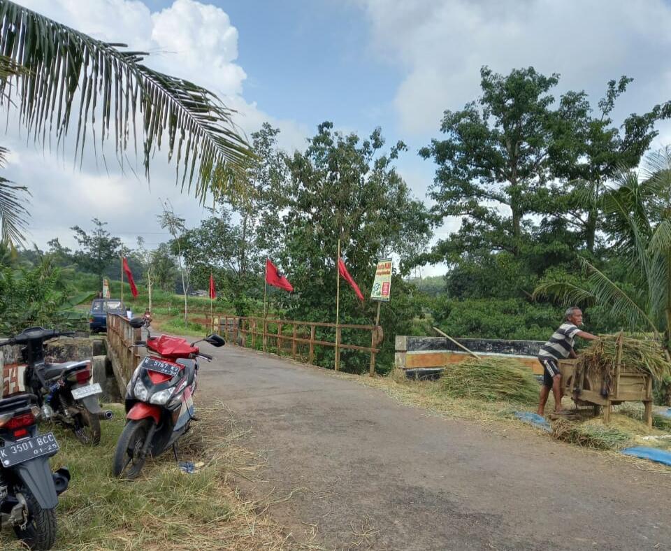 Gowes sambil Menikmati Panorama Alam, Sepeda Gunung jadi Pilihan Ane! 