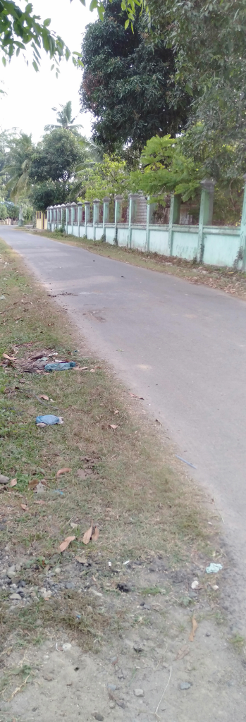Sepeda Keranjang yang Ane Banget! Gowes Pagi-pagi Biar Mood Tetap Bagus