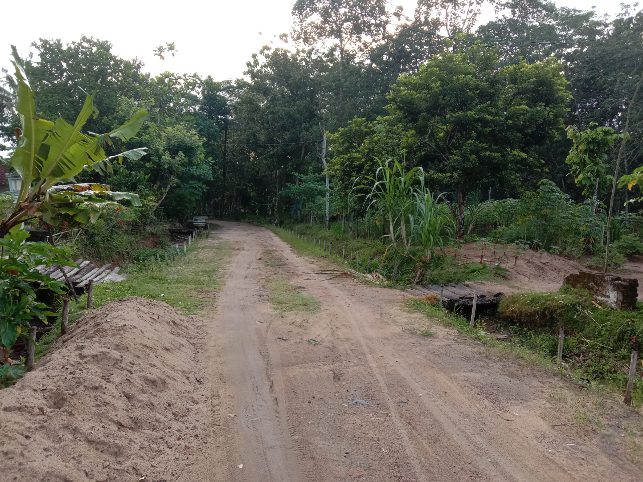 Jelajah Ladang Wijen Naik Sepeda Gunung, Menikmati Keindahan Setelah Perjuangan!