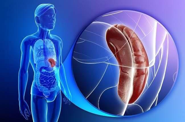 5 Kasus Teraneh Dalam Dunia Kesehatan