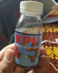 Tips Merawat Ikan Cupang Hias Agar Tetap Sehat Ala Ane