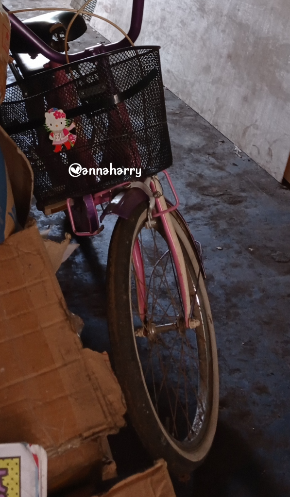 Kisah Menarik Bareng Sepeda Kesayangan