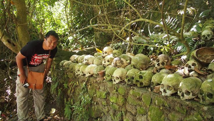 Misteri Pohon Taru Menyan, Yang Menyerap Bau Mayat Di Bali